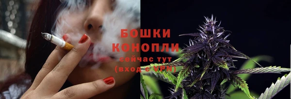 PSILOCYBIN Бородино