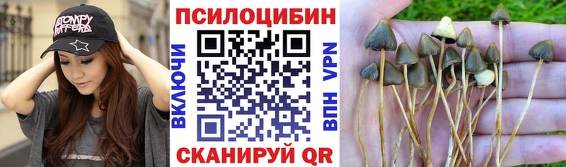 Псилоцибиновые грибы ЛСД  Купить где  Ярославль 